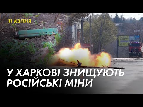 Видео: Харри Реднаппын цэвэр хөрөнгө: Вики, гэрлэсэн, гэр бүл, хурим, цалин, ах эгч нар