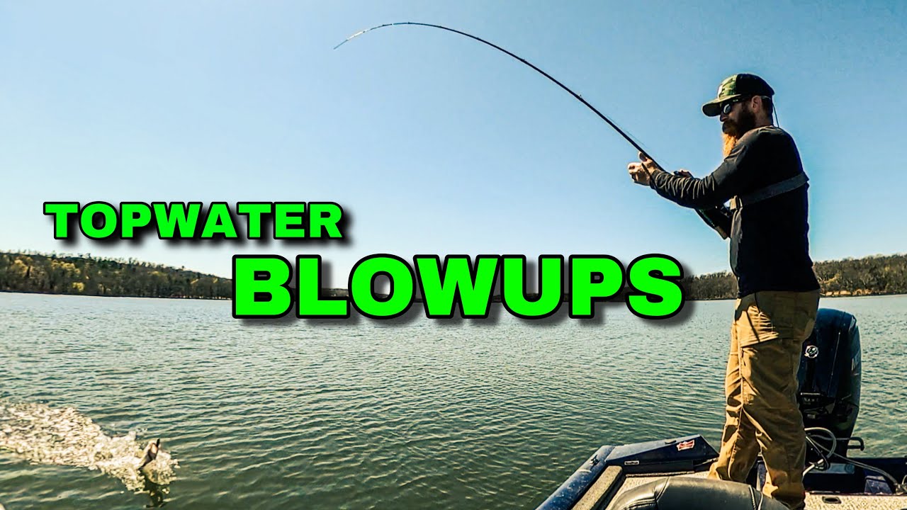 Leurre Lucky Craft Sammy 105 - Topwater Walk The Dog - Chartreuse Shad - Neuf