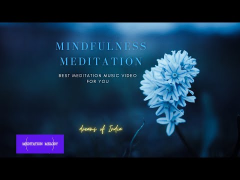 Video: Mindfulness Teller Dontfeedthelandfills - Matador Network