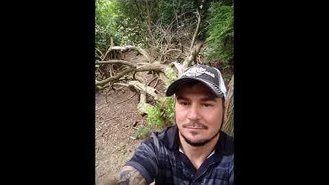 #chadwell delphi murders