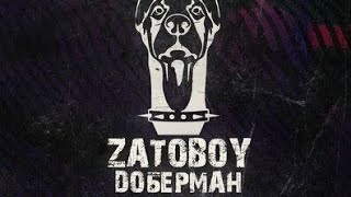 Zatoboy-доберман remix+bass boost (trix remix)