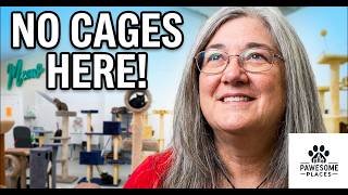 Pawesome Places: The Palm Beaches - Adopt-A-Cat (Segment)