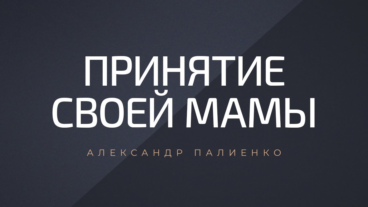 Палиенко про машины