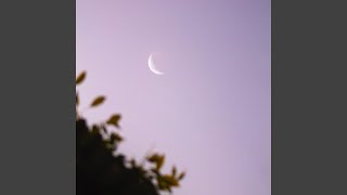 Video thumbnail of "nilöwh. - i watch the moon"