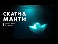Скати Від Панування на Дні до Польотів у Небо Скати Від Панування на Дні до Польотів у Небо
