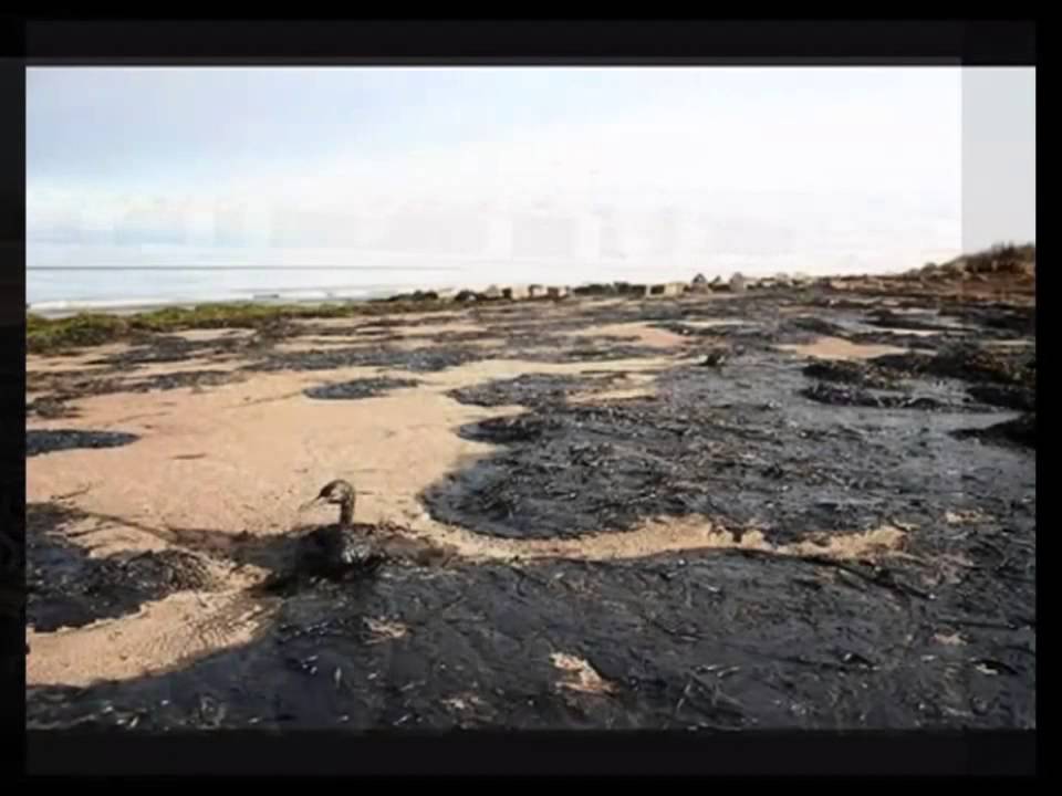 Загрязнение азовского моря нефтепродуктами и нефтью. Загрязнение азовского моря нефтепродуктами и нефтью. Экологическая катастрофа в черном море. Экологическая катастрофа в море разлив нефти. Экологическая катастрофа в черном море.