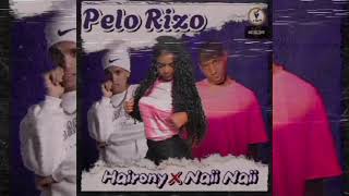 Video thumbnail of "Pelo Rizo ❌ Hairony ft Naii Naii ❌ DAYAN Tiburon / Sharks Music Company"