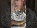 Satisfying Horse Hoof Nipping! #shorts #farrier #satisfying #asmr