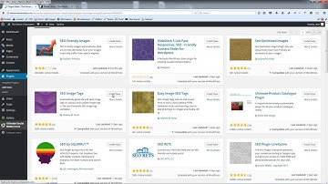 061 Working with the SEO Friendly Images Plugin