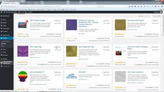 061 Working with the SEO Friendly Images Plugin