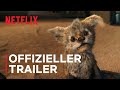 Chupa | Offizieller Trailer | Netflix