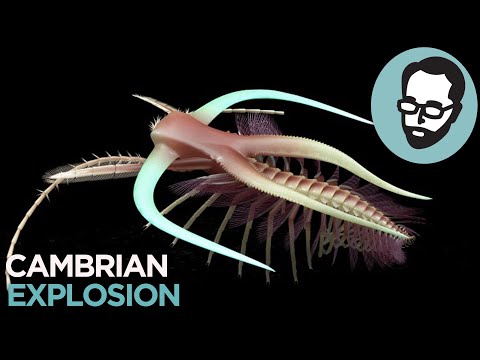 The Cambrian Period: Life's Prototype Stage | Random Thursday