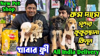 Best Quality Puppies Sell in Low Price। German Shepherd, Lhasa Apso & Beagle Puppy Sell।