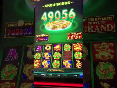 Safari Winnings at a five cent denomination is one of the best slot machine experiences, ever!