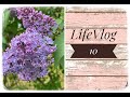 LifeVlog10. Продолжаем .Про наши будни .