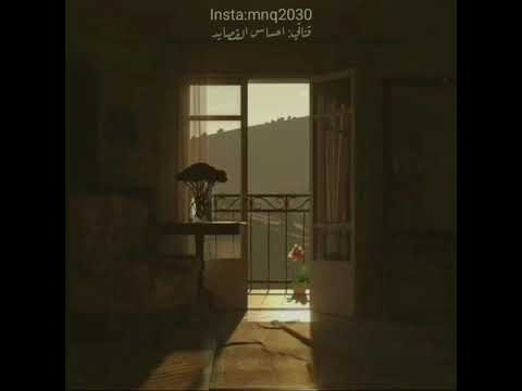 حالات واتس اب جديده فاضي شويه نشرب قهوه في حته بعيده حمزه نمره