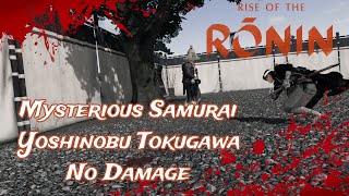 Rise of the Ronin-Mysterious Samurai/Yoshinobu Tokugawa-No Damage-Twilight #riseoftheroningameplay