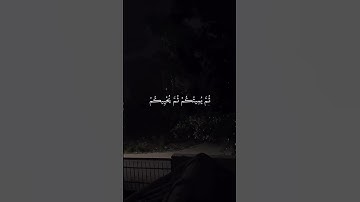ارح سمعك... تلاوة هادئة تريح القلب والعقل💙🎧