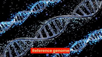 Reference genome