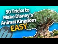 50 easy tricks that make disneys animal kingdom so much better