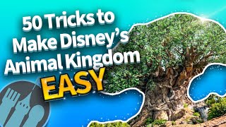 50 Easy Tricks That Make Disney's Animal Kingdom So Much Better