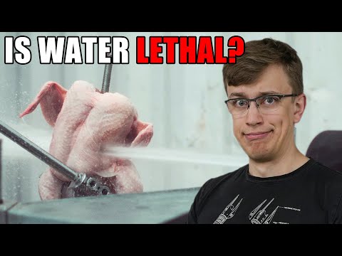 Will this be safe to use? 🌊🐓 (Members' Update #43)