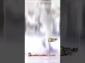 صغيرون ما تعرف تحب