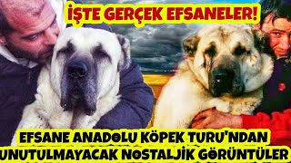 AKIN TÜLÜBAŞ VE RESUL SÜSLÜ'NÜN EFSANE ANADOLU KÖPEK TURU (EURO KANGAL VİDEOLARI)