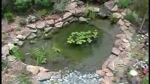 Planting Bog & Cement Rock Shelf for you Living Pond