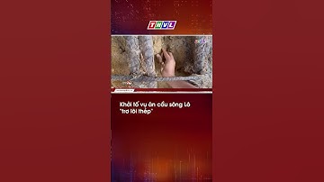 Khởi tố vụ án cầu sông Lô "trơ lõi thép" #shorts #short #thvl