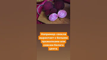 Невкусная свёкла? Вот что делать #дачныйагроном #садиогород #shorts