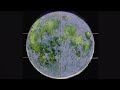 Capture de la vidéo Earth's Craters Exploration