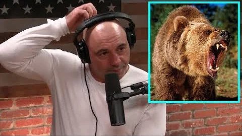 Joe Rogan - How to Survive A Grizzly Bear Attack