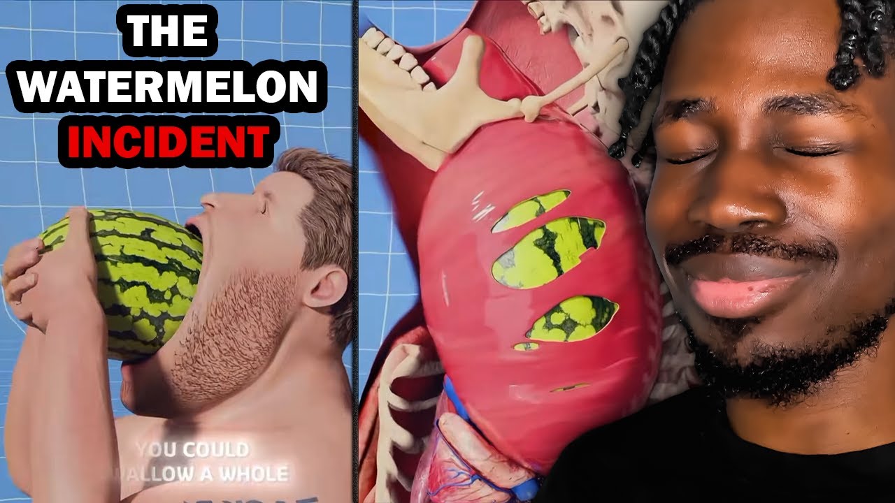 Фильмы Зака ​​Д. «Бинго необходимо остановить»...