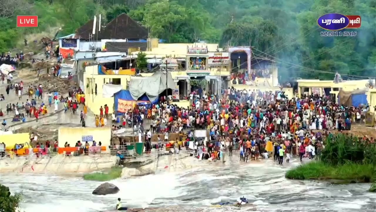 சொரிமுத்தையனார் கோவில் ஆடி அமாவாசை கோலாகலம் | Sorimuthu Ayyanar Aadi Amavasai 2025 Full Coverage