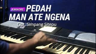 PEDAH MAN ATE NGENA | Karaoke lagu karo