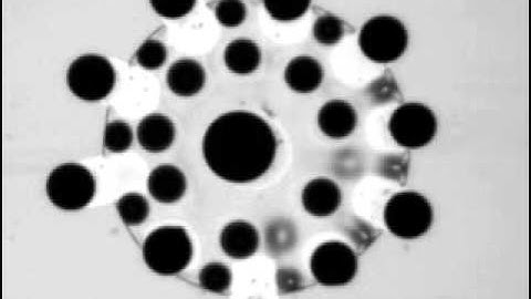 Rosensweig Instability --Ferrofluid Droplet Rupture (Top View)