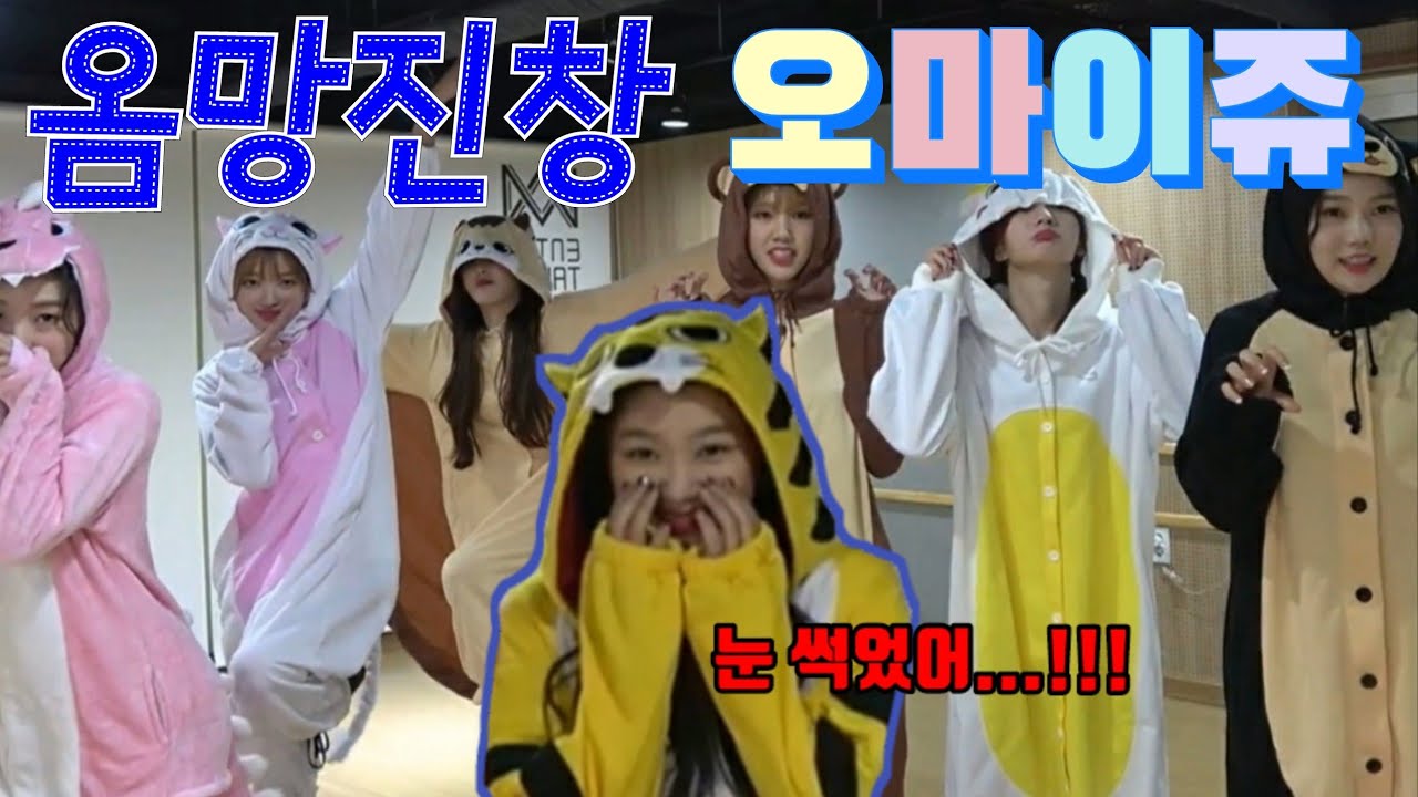 [오마이걸] 옴망진창 동물원