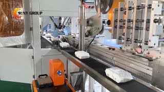 Complete Wet Wipes Production Line: Making, Packing, Cartoning and Stacking
