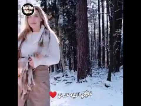 ليكي برا جنون الورد