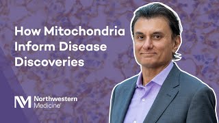 How Mitochondria Inform Disease Discoveries with Navdeep Chandel, PhD