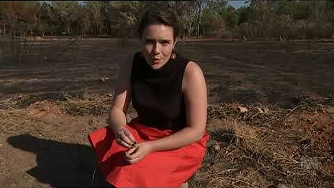 PFAS contamination could delay further Darwin projects