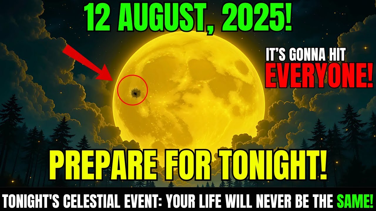 ๐จMUST See This WARNING Before FULL MOON!๐888 Lions GATE PORTAL & Full MOON: 5 Things You MUST know! ๐จMUST See This WARNING Before FULL MOON!๐888 Lions GATE PORTAL & Full MOON: 5 Things You MUST know!
