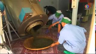 รายการทุ่งแสงตะวัน  ชาบ้านศรีนาป่าน จ.น่าน