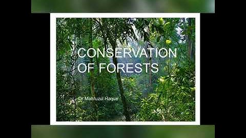 E 4 / 4C / EVS / Forest A Wealth  / GeethaRavi