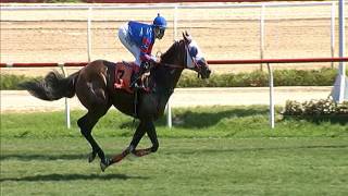 Vidéo de la course PMU PREMIO GABRIEL AVILA