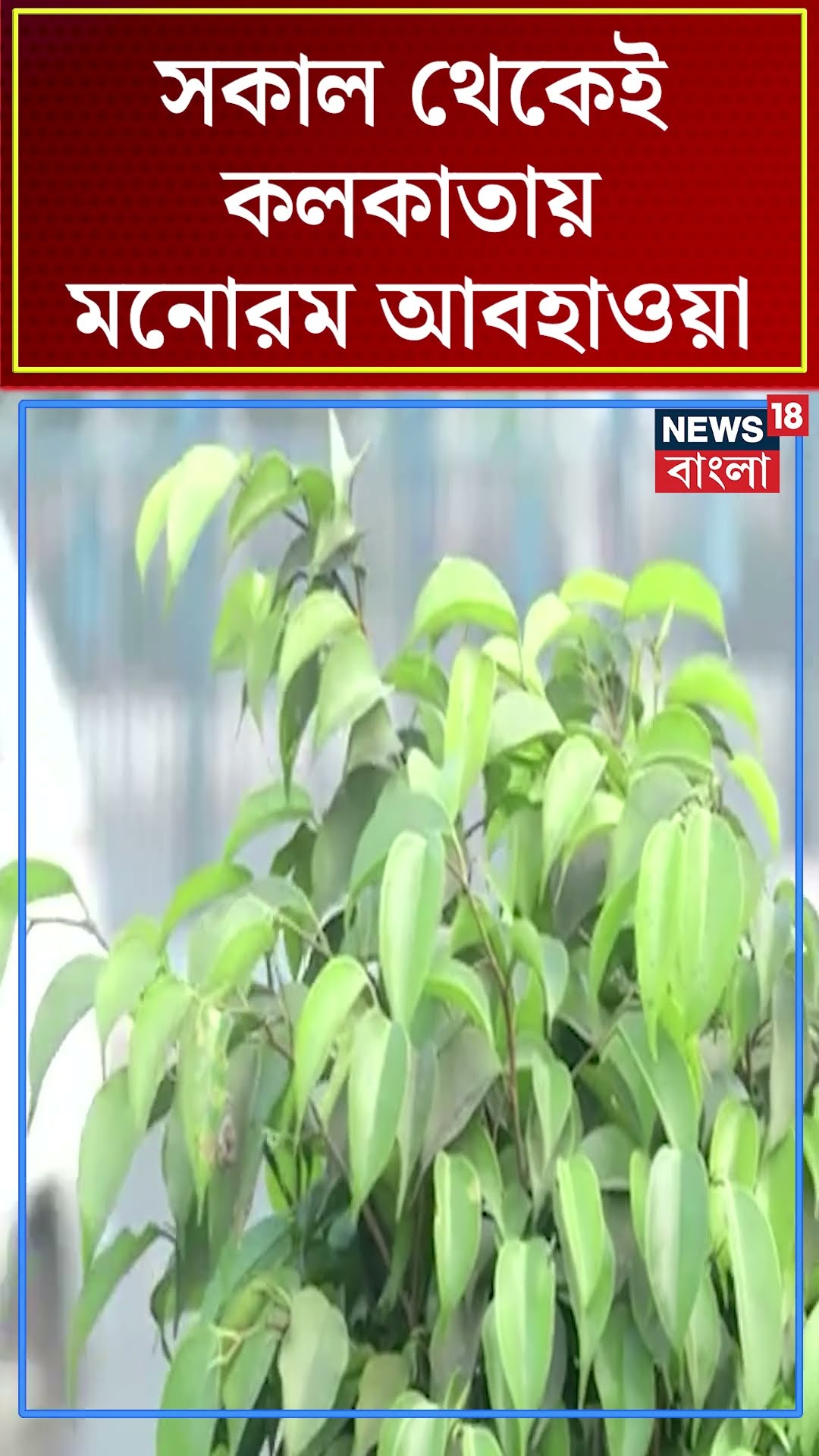সকাল থেকেই Kolkata য় মনোরম আবহাওয়া #shorts