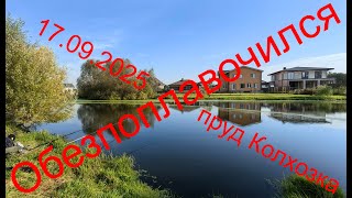 Обезпоплавочился. 17.09.2025. Пруд Колхозка. Рыбалка в Подмосковье.