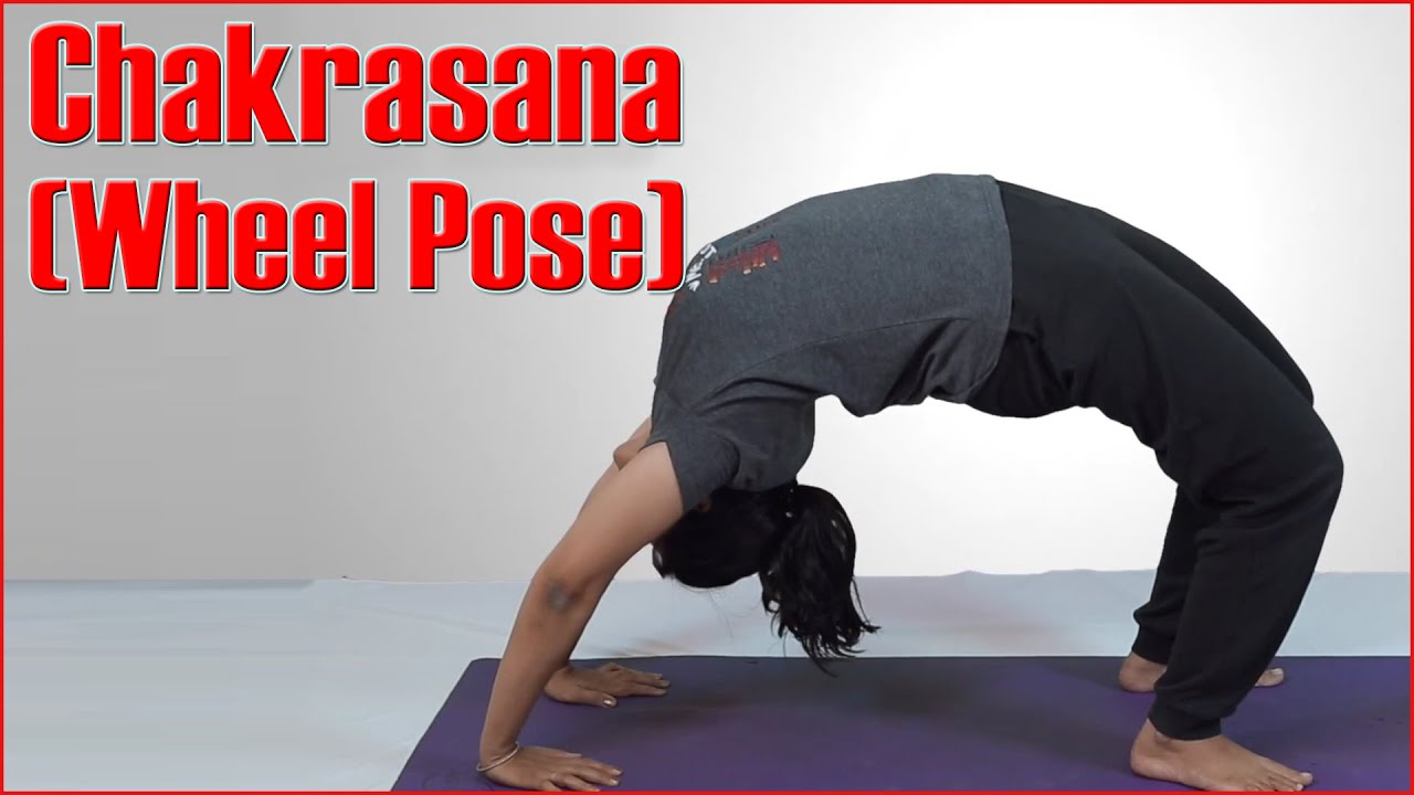 Wheel Pose Yoga How To Do Safely And Effectively | Yoga Bear