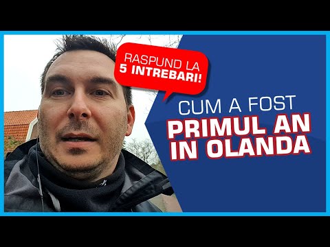 Primul an in Olanda